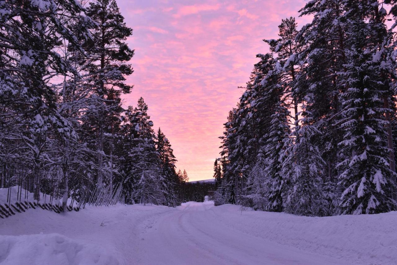 Bed and Breakfast Horrmundsgarden I Saelen Horrmunden Экстерьер фото